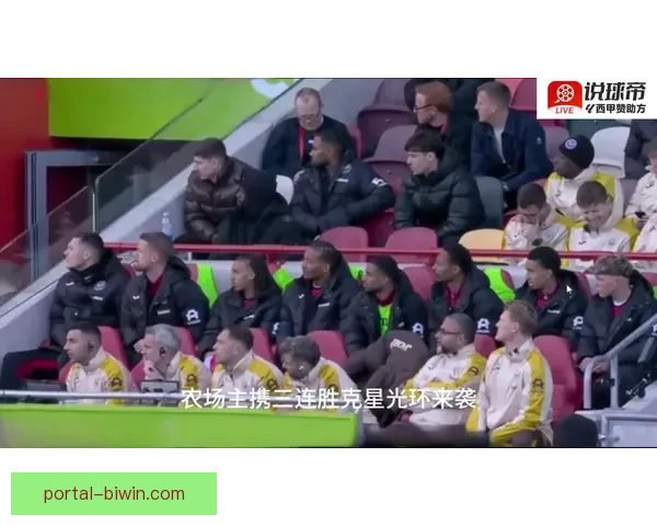 布伦特福德对阵富勒姆精彩赛事全程直播解析